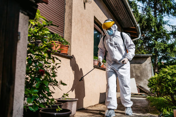 Best Pest Control Near Me  in Lynn, MA