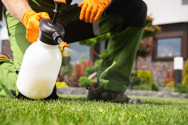 Best Pest Removal Services  in Lynn, MA
