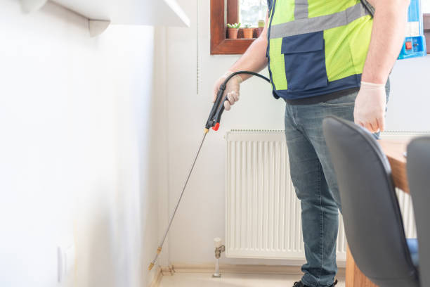 Best Flea Control Services  in Lynn, MA